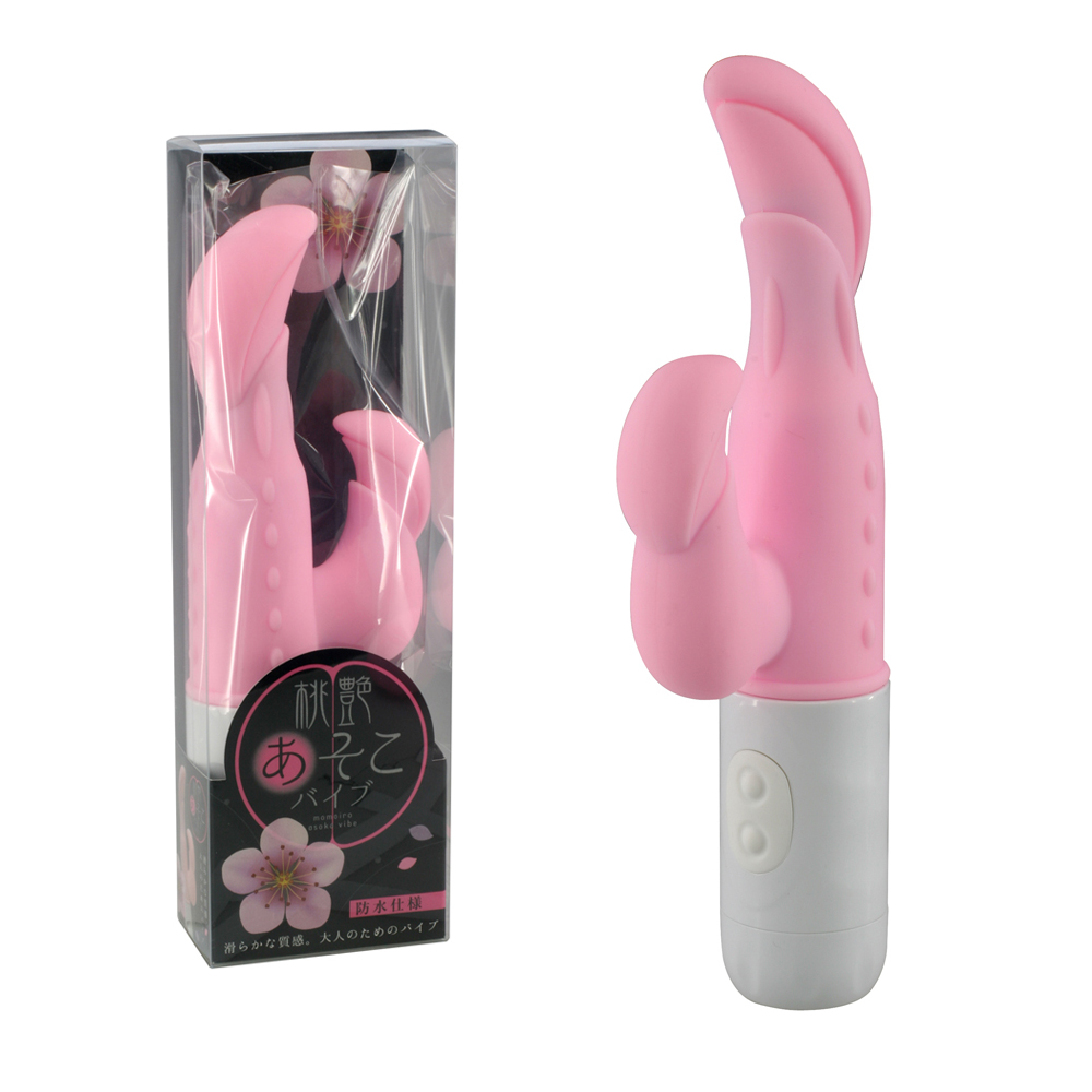 �����������o�C�u [AM029]